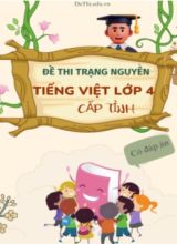 Bộ đề thi trạng nguyên Tiếng Việt Lớp 4 cấp tỉnh (Có đáp án)
